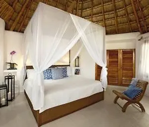Hotel Las Palapas Riviera Maya